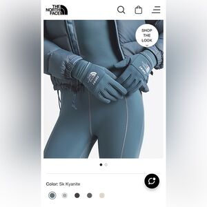 THE NORTH FACE X SKIMS  Retro Denali Fleece Gloves KYANITE Large NWT